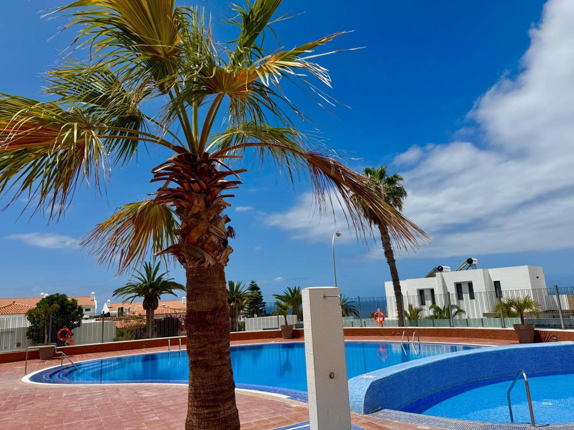 Stunning Apartments With Pool Tenerife Costa Adeje Dış mekan fotoğraf
